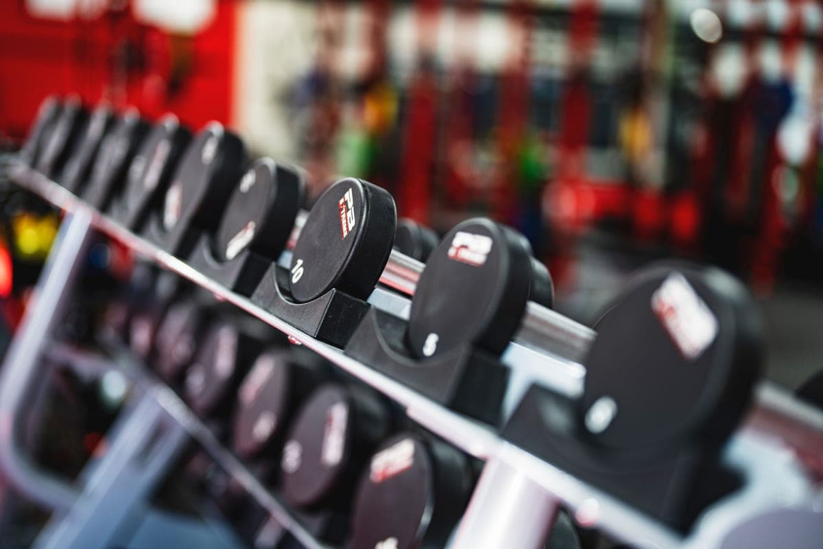 Dumbbells and a bench in a home gym